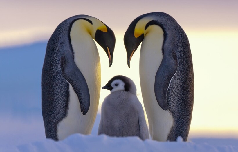 Фото: Anneliese Possberg / iso.500px.com Фото: Anneliese Possberg / iso.500px.com
