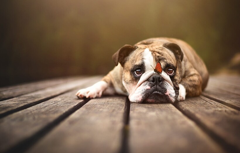 Фото: Anne Geier / iso.500px.com Фото: Anne Geier / iso.500px.com