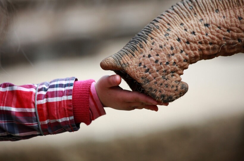 Фото: Antje Wenner-Braun / iso.500px.com Фото: Antje Wenner-Braun / iso.500px.com