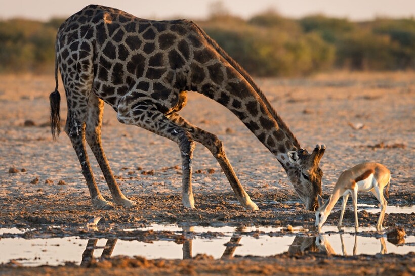 Фото: Morkel Erasmus / iso.500px.com Фото: Morkel Erasmus / iso.500px.com
