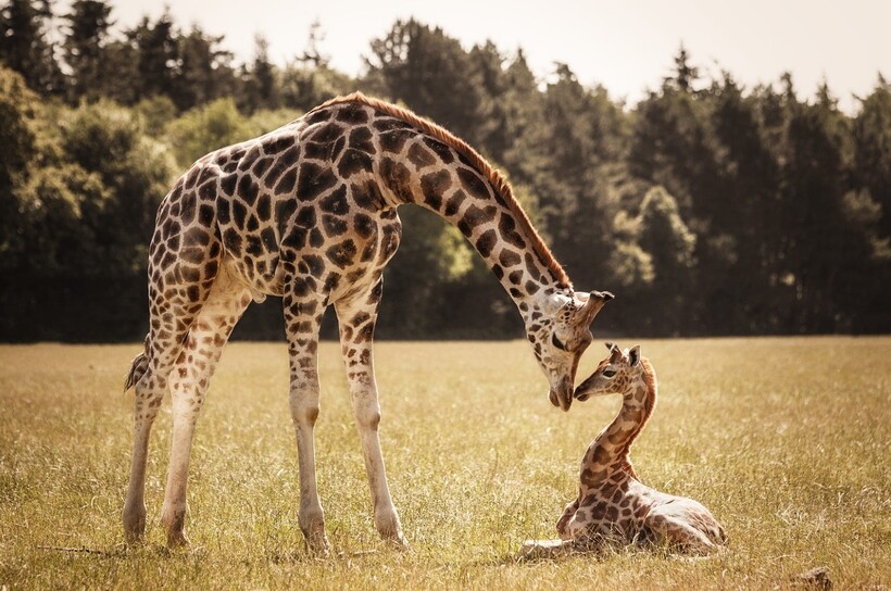 Фото: Nadine Volz / iso.500px.com Фото: Nadine Volz / iso.500px.com