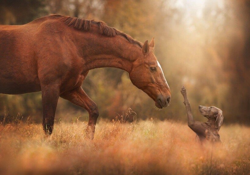 Фото: Hannah Meinhardt / iso.500px.com Фото: Hannah Meinhardt / iso.500px.com