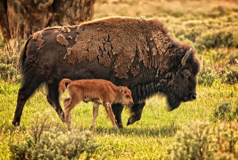 Фото: jeff clow / iso.500px.com Фото: jeff clow / iso.500px.com