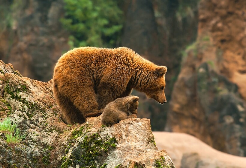 Фото: Rob Janné / iso.500px.com Фото: Rob Janné / iso.500px.com
