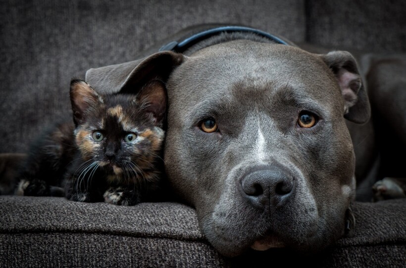 Фото: Casey Bebernes / iso.500px.com Фото: Casey Bebernes / iso.500px.com