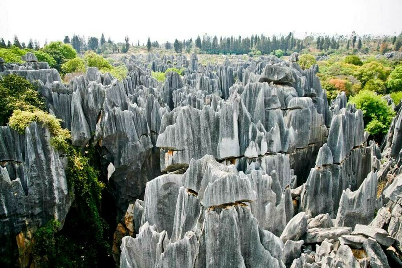 Каменный лес Шилинь. Фото: amuraworld.com Каменный лес Шилинь. Фото: amuraworld.com