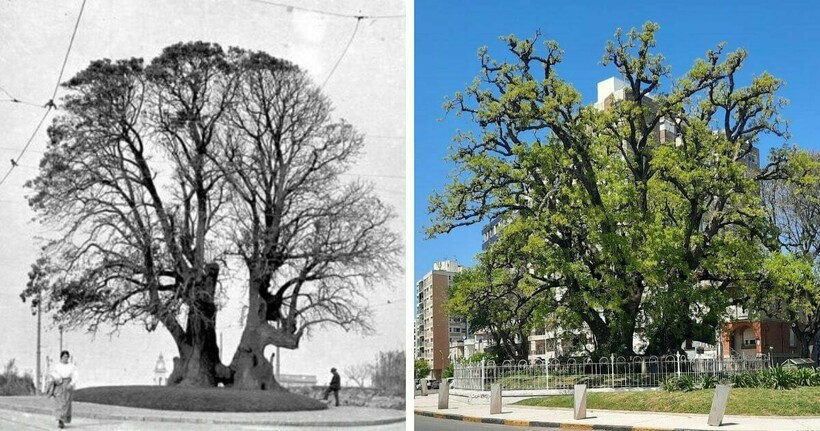 Блог - 11 фото, показывающих, что мир меняется так быстро, что не успеваешь и глазом моргнуть 11 фото, показывающих, что мир меняется так быстро, что не успеваешь и глазом моргнуть