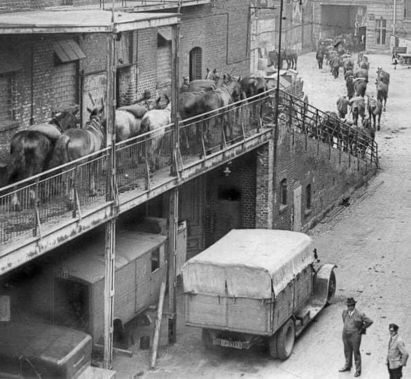 Блог - 9 фотографий многоэтажных конюшен: зачем их строили 9 фотографий многоэтажных конюшен: зачем их строили
