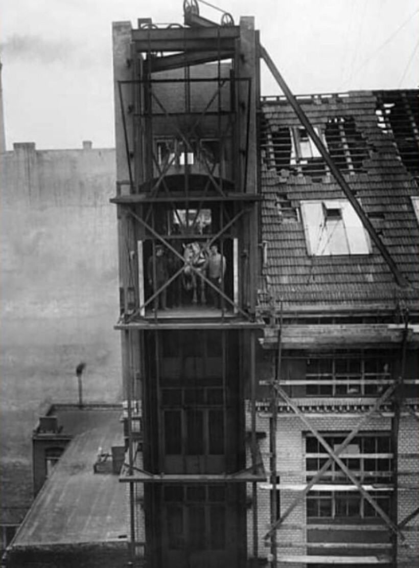 Блог - 9 фотографий многоэтажных конюшен: зачем их строили 9 фотографий многоэтажных конюшен: зачем их строили