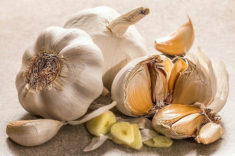 Фото: stevepb/pixabay.com Фото: stevepb/pixabay.com