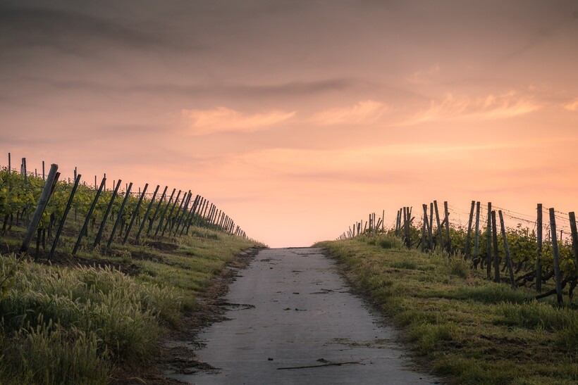 Тын вдоль дороги. Фото: Pexels/pixabay.com Тын вдоль дороги. Фото: Pexels/pixabay.com