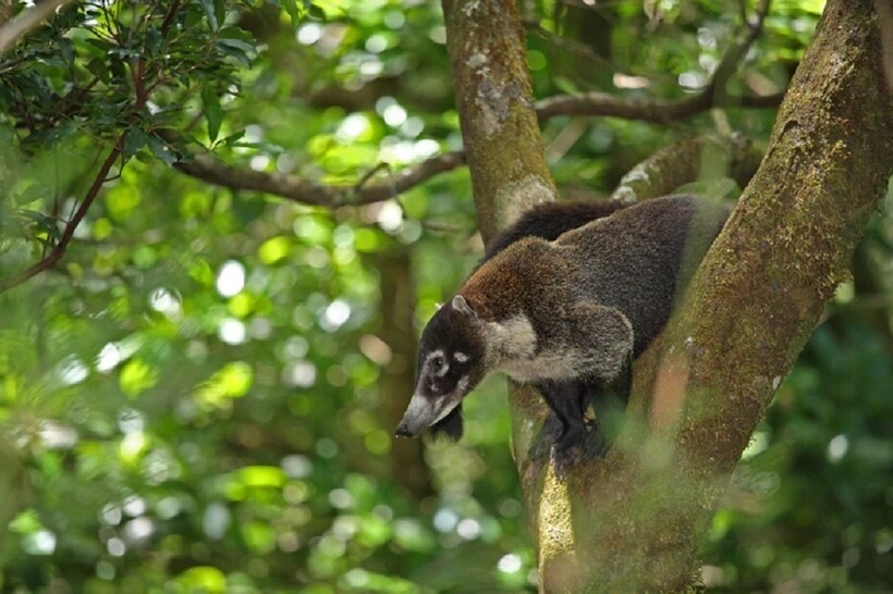 Фото: adrian hepworth / alamy.com Фото: adrian hepworth / alamy.com