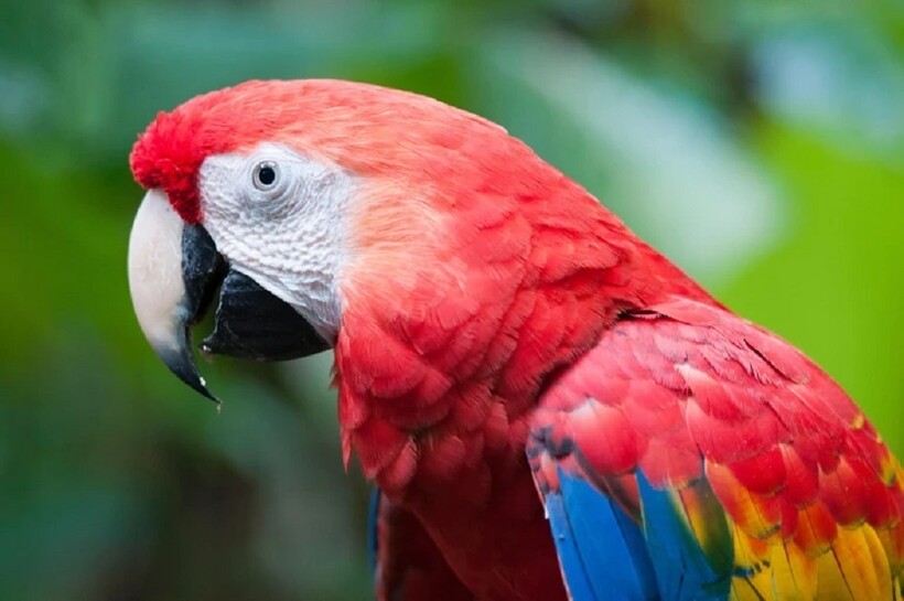 Фото: Hemis / alamy.com Фото: Hemis / alamy.com