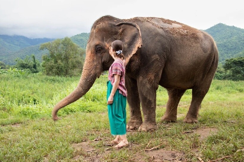 Фото: Martin Gruber / alamy.com Фото: Martin Gruber / alamy.com