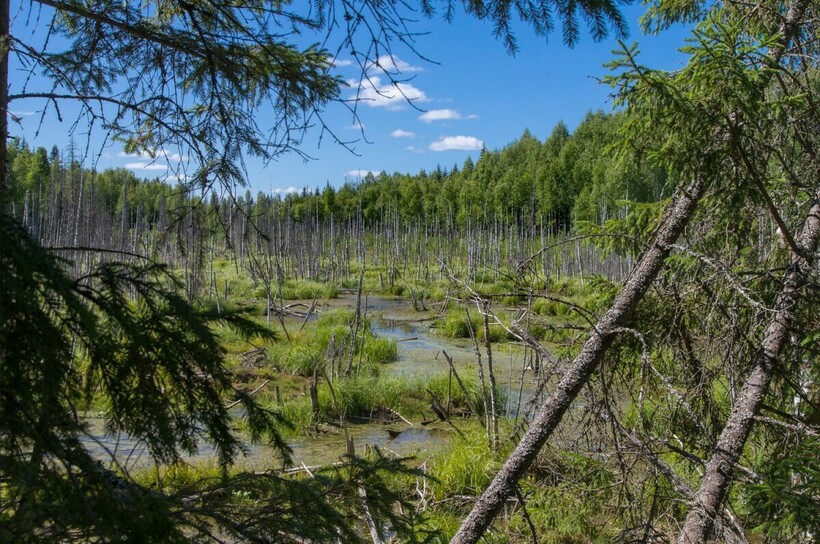 Фото: заповедныйурок.рф Фото: заповедныйурок.рф