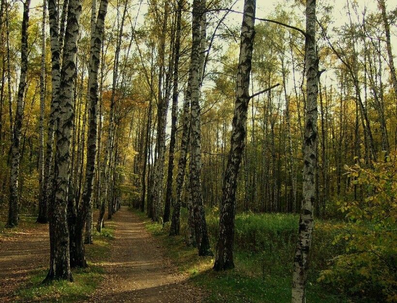 Фото: nesiditsa.ru Фото: nesiditsa.ru