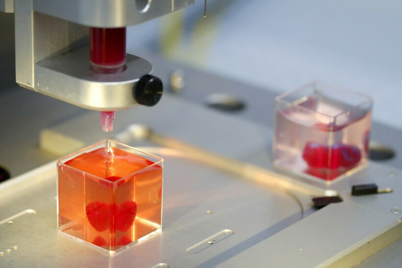 Блог - 8 самых странных вещей, которые напечатал 3D-принтер 8 самых странных вещей, которые напечатал 3D-принтер