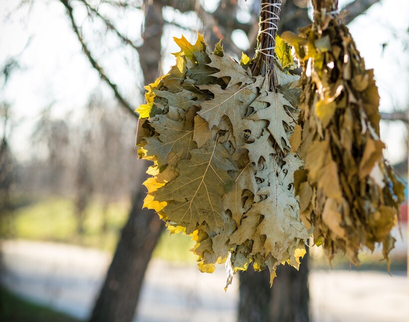 Фото: Mitrey/pixabay.com Фото: Mitrey/pixabay.com