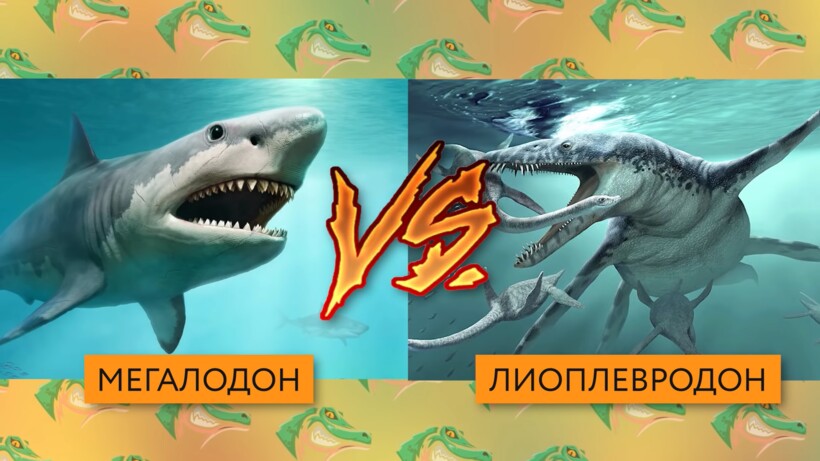 Блог - Видео: Как сражались монстры океана миллионы лет назад Видео: Как сражались монстры океана миллионы лет назад