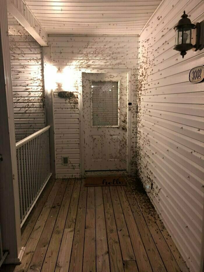 Блог - 10 жутких примеров, когда природа буквально лишает дара речи своими ужастиками 10 жутких примеров, когда природа буквально лишает дара речи своими ужастиками