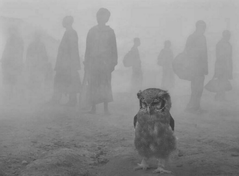 Фото: Nick Brandt Фото: Nick Brandt