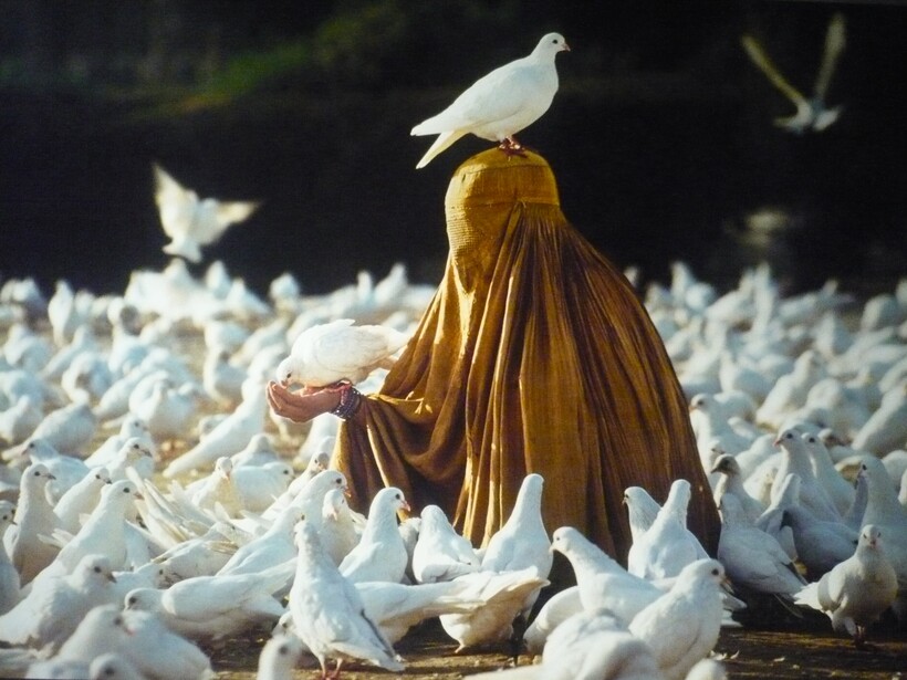 Фото: Steve McCurry Фото: Steve McCurry