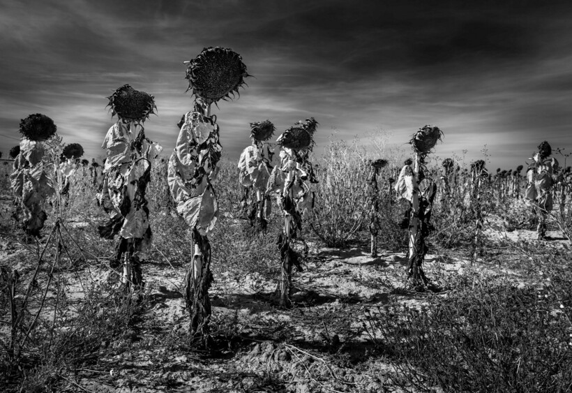 Блог - 16 самых сильных фотографий с конкурса Sony World Photography Awards 2022 16 самых сильных фотографий с конкурса Sony World Photography Awards 2022