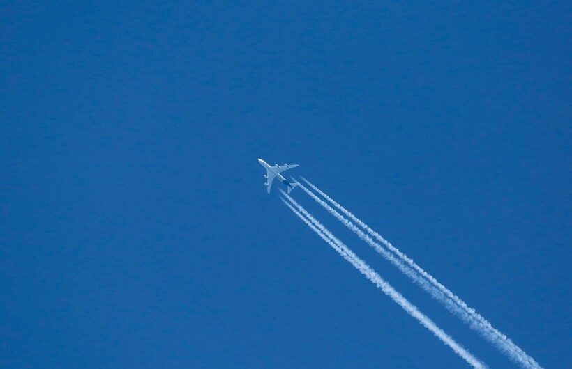 Фото: schauhi/pixabay.com Фото: schauhi/pixabay.com
