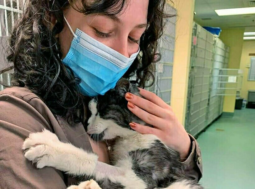 Блог - 15 смешных и не очень снимков, в каждом из которых заключена целая история 15 смешных и не очень снимков, в каждом из которых заключена целая история