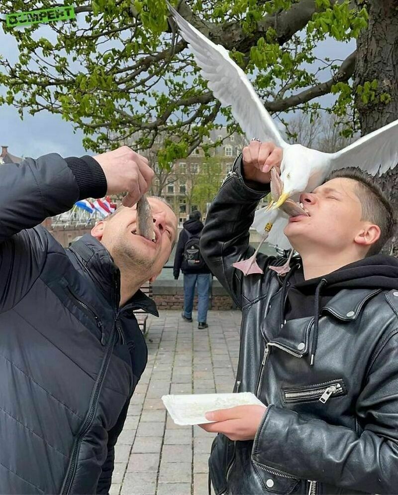 Блог - 15 фото, на которых люди подловили уморительные совпадения 15 фото, на которых люди подловили уморительные совпадения