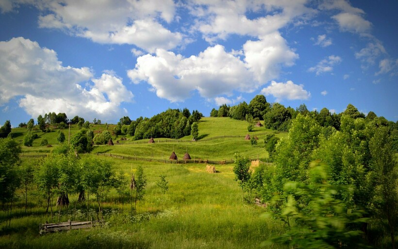 Лето в России. Фото: studychinese.ru Лето в России. Фото: studychinese.ru