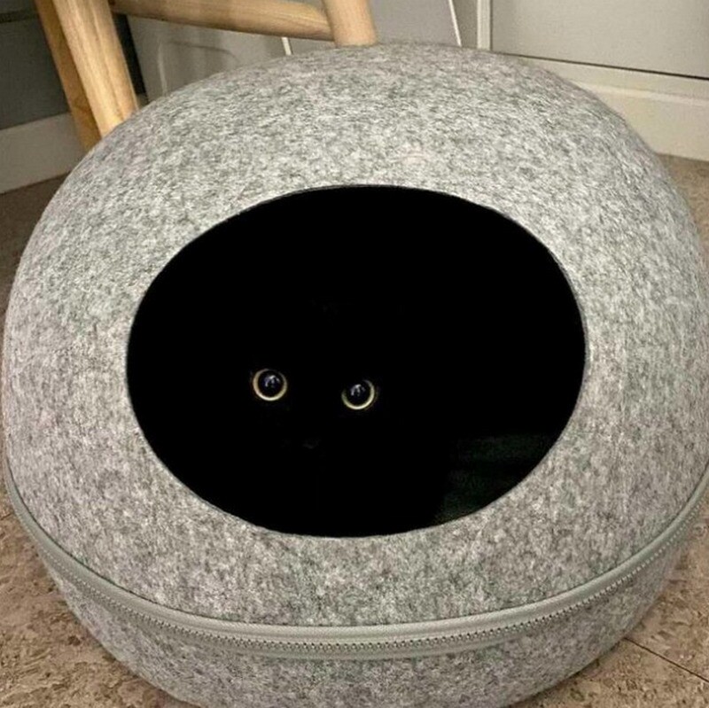 Блог - 17 кошек, которые ведут себя до смешного глупо 17 кошек, которые ведут себя до смешного глупо