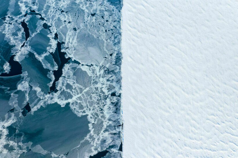 Блог - 25 фотографий, победивших на конкурсе BigPicture Natural World 25 фотографий, победивших на конкурсе BigPicture Natural World