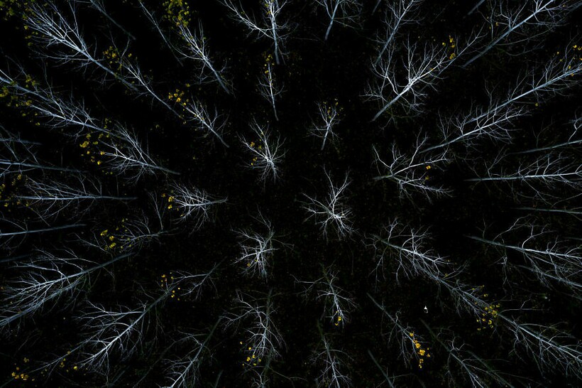 Блог - 25 фотографий, победивших на конкурсе BigPicture Natural World 25 фотографий, победивших на конкурсе BigPicture Natural World