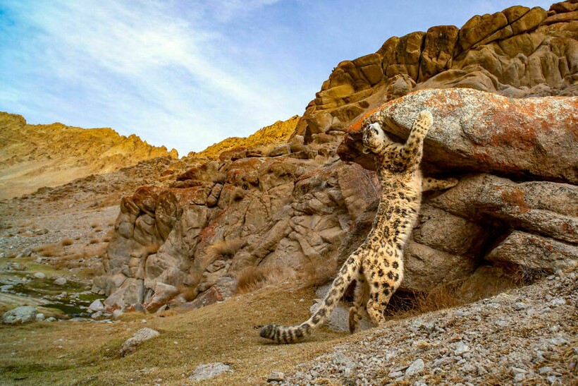 Блог - 25 фотографий, победивших на конкурсе BigPicture Natural World 25 фотографий, победивших на конкурсе BigPicture Natural World