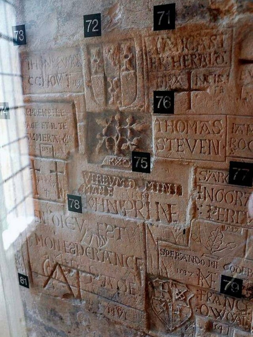 Блог - Мужские туфли, доспехи слона: 12 экспонатов, развеивающих миф, что в музеях скучно Мужские туфли, доспехи слона: 12 экспонатов, развеивающих миф, что в музеях скучно