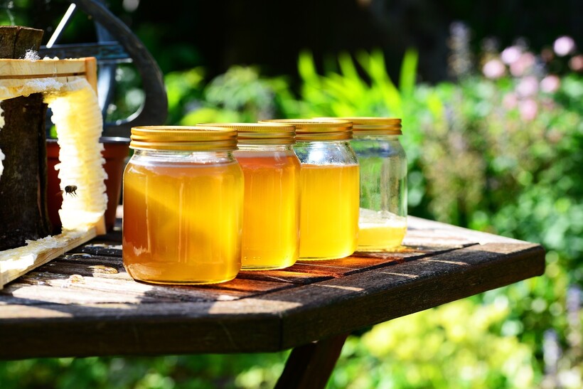 Фото: PollyDot/pixabay.com Фото: PollyDot/pixabay.com