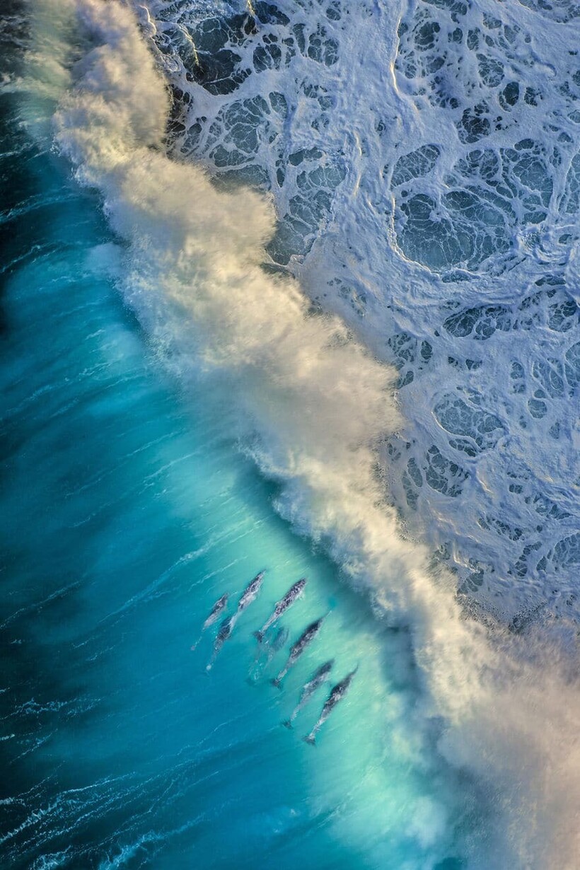 Блог - 20 фотографий из океанских глубин: финалисты конкурса Ocean Photography Awards 2021 20 фотографий из океанских глубин: финалисты конкурса Ocean Photography Awards 2021