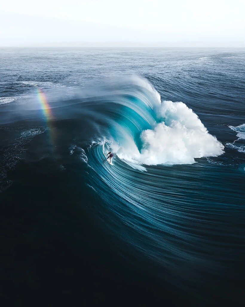 Блог - 20 фотографий из океанских глубин: финалисты конкурса Ocean Photography Awards 2021 20 фотографий из океанских глубин: финалисты конкурса Ocean Photography Awards 2021