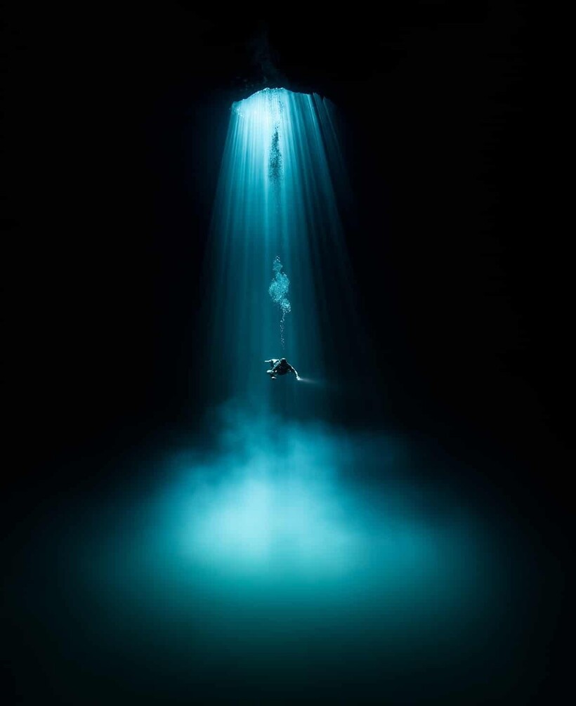 Блог - 20 фотографий из океанских глубин: финалисты конкурса Ocean Photography Awards 2021 20 фотографий из океанских глубин: финалисты конкурса Ocean Photography Awards 2021