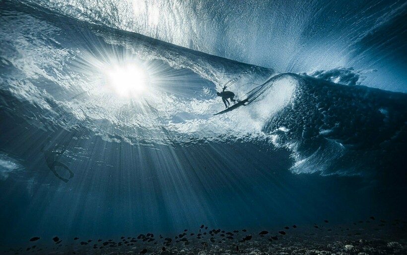 Блог - 20 фотографий из океанских глубин: финалисты конкурса Ocean Photography Awards 2021 20 фотографий из океанских глубин: финалисты конкурса Ocean Photography Awards 2021