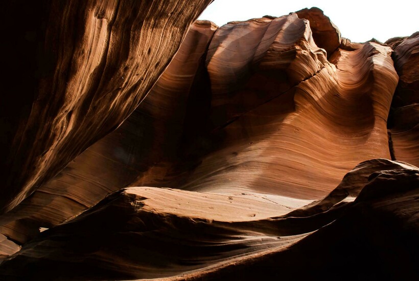 Фото: LynnMax/pixabay.com Фото: LynnMax/pixabay.com