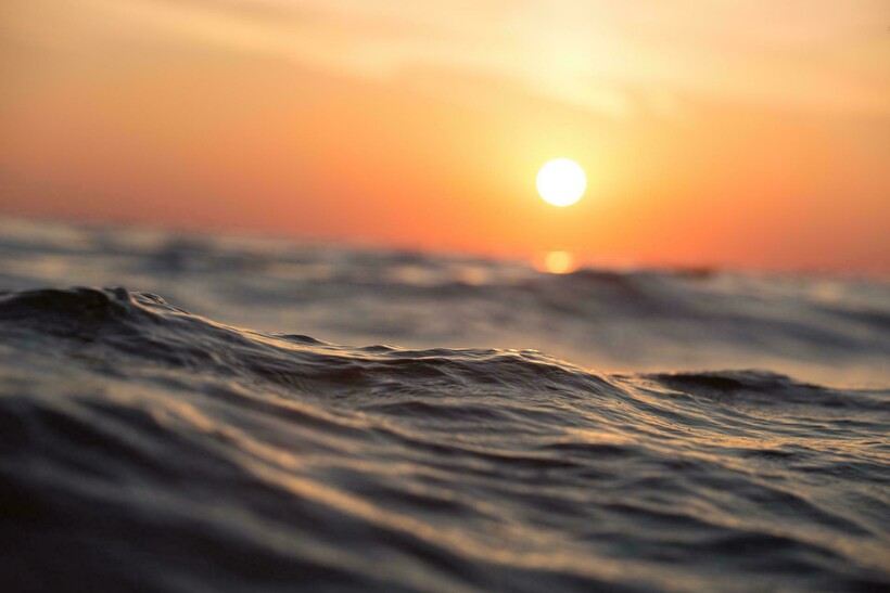 Большинство комаров не могут размножаться в море. Фото: Pexels/pixabay.com Большинство комаров не могут размножаться в море. Фото: Pexels/pixabay.com