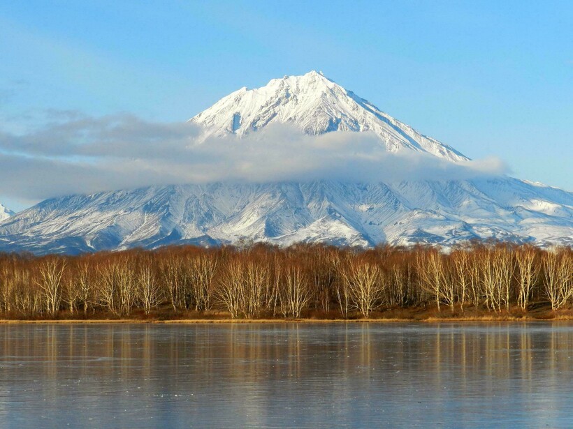 Фото: Наталья Коллегова/pixabay.com Фото: Наталья Коллегова/pixabay.com