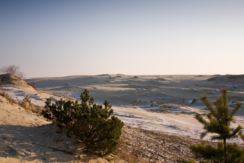 Фото: anvel/pixabay.com Фото: anvel/pixabay.com