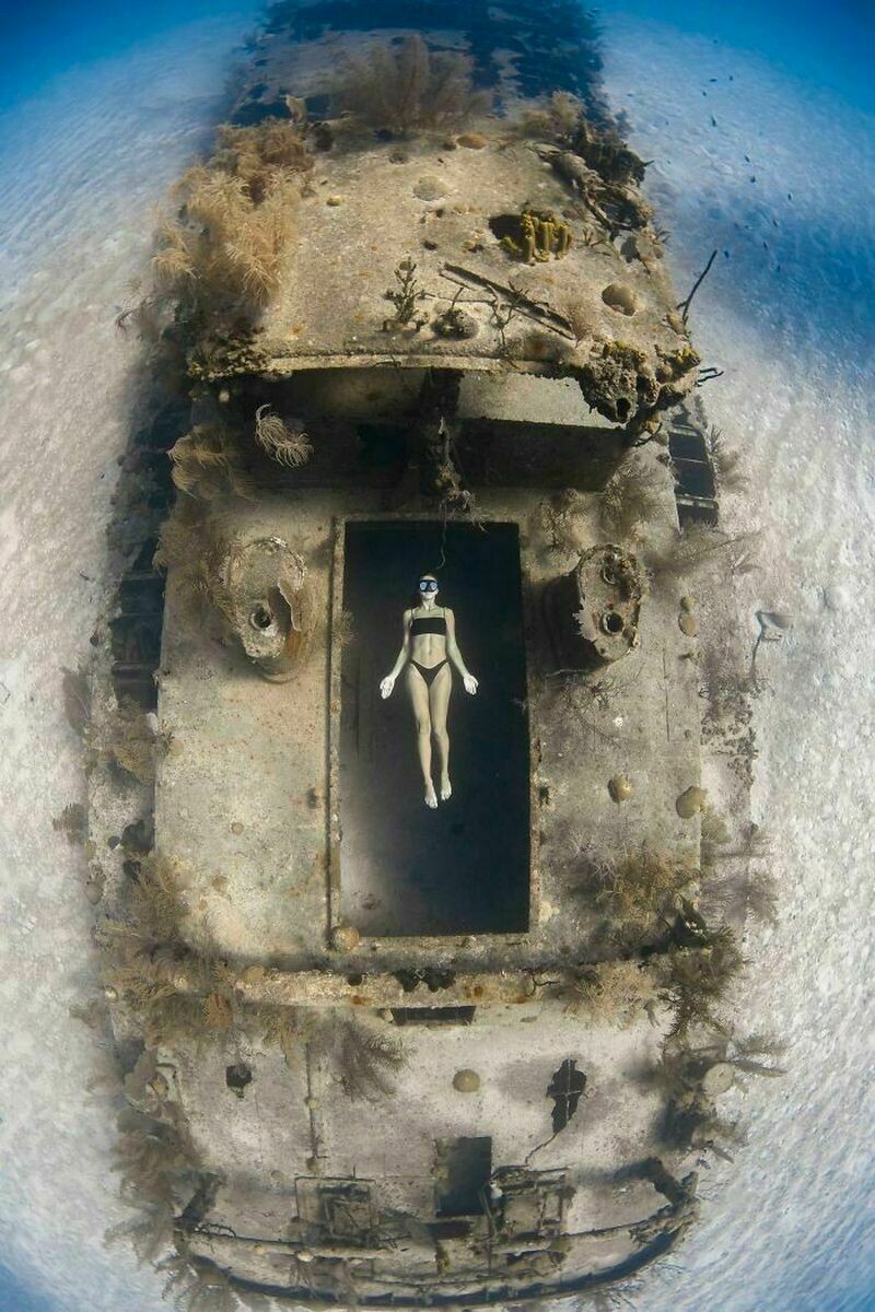 Блог - 14 самых волшебных фотографий, сделанных под водой 14 самых волшебных фотографий, сделанных под водой