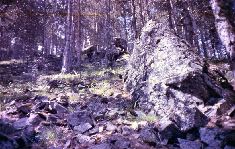Лесной участок Эльбруса