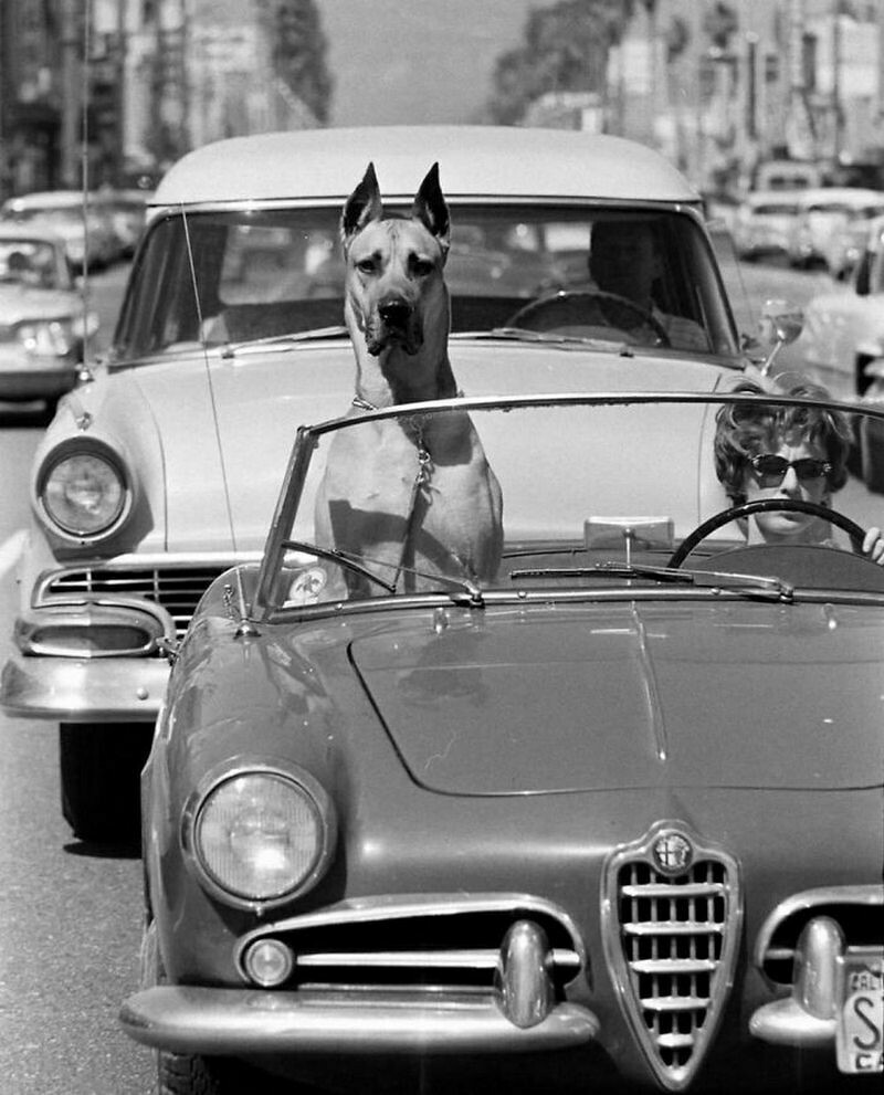Ralph Crane Ralph Crane
