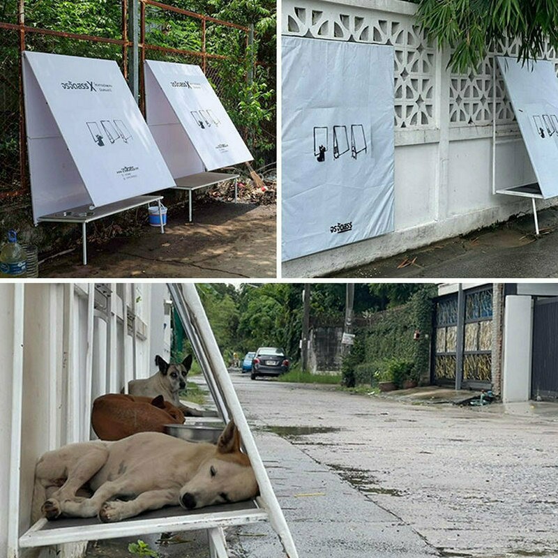 Блог - 12 классных уличных приспособлений для собак из разных уголков планеты 12 классных уличных приспособлений для собак из разных уголков планеты