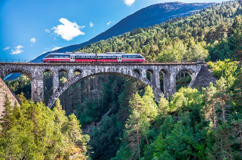 Фото: Arild Lilleboe/Shutterstock Фото: Arild Lilleboe/Shutterstock